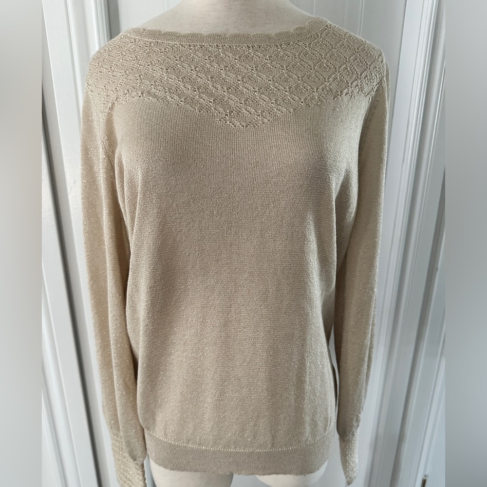 LAST CHANCE!💥2 for $15💥 Brand New Cleo Sparkly Sweater